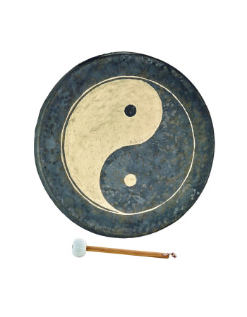 Meinl Sonic Energy CHYY22 22