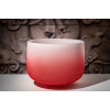 Meinl Sonic Energy CSBCSETCHA Color-Frosted Crystal Singing Bowl Chakra Set 7 pcs - B4/A4/G4/F4/E4/D4/C4/440 Hz