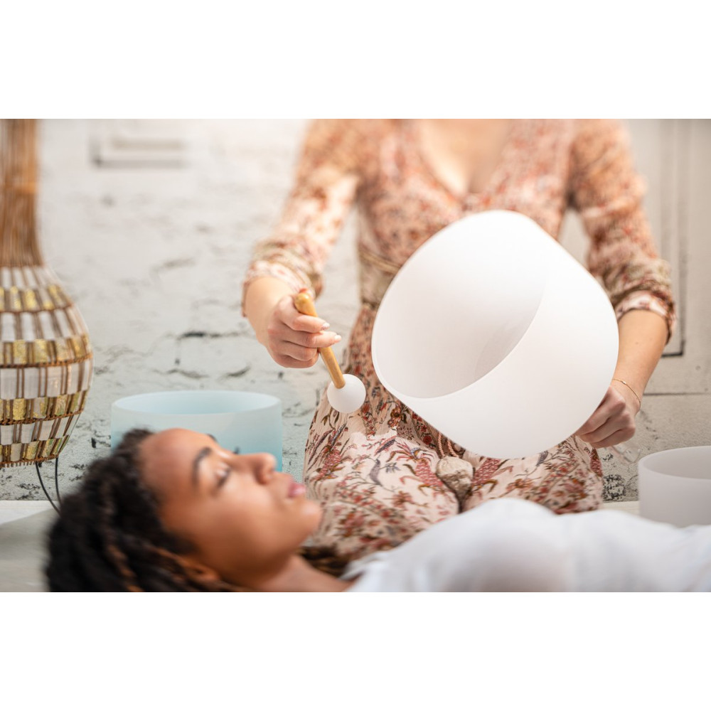 Meinl Sonic Energy CSBH10F White-frosted Crystal Singing Bowl with Handle 10