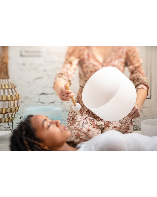 Meinl Sonic Energy CSBH10F White-frosted Crystal Singing Bowl with Handle 10