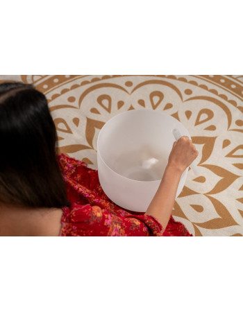 Meinl Sonic Energy CSBM12A3 12