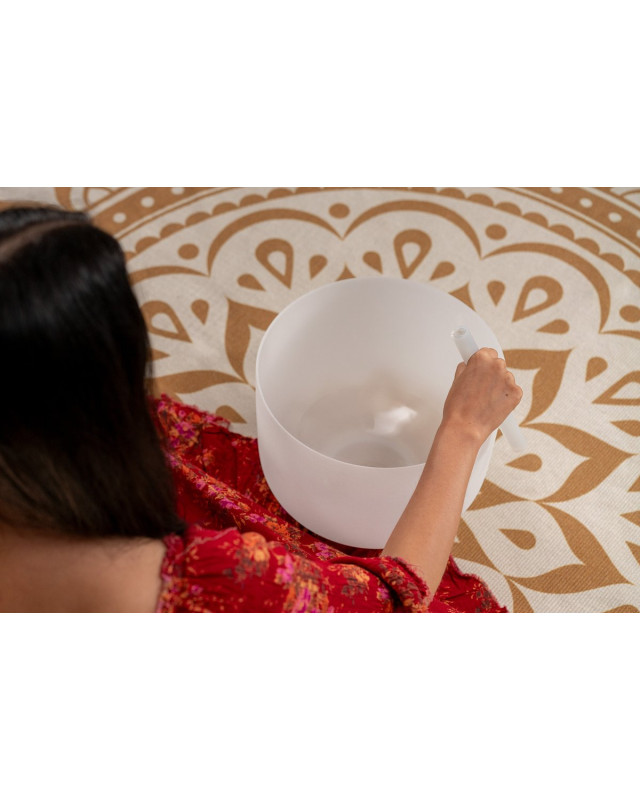 Meinl Sonic Energy CSBM12G3 12