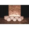Meinl Sonic Energy CSBSETCHA White-Frosted Crystal Singing Bowls Set 7 pcs - B4/A4/G4/F4/E4/D4/C4/432 Hz
