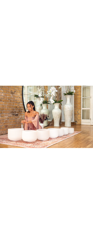 Meinl Sonic Energy CSBSETCHA White-Frosted Crystal Singing Bowls Set 7 pcs - B4/A4/G4/F4/E4/D4/C4/432 Hz