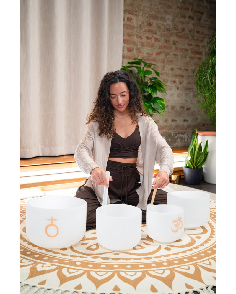 Meinl Sonic Energy CSBSETOM4 4-piece Om Crystal Singing Bowl Set