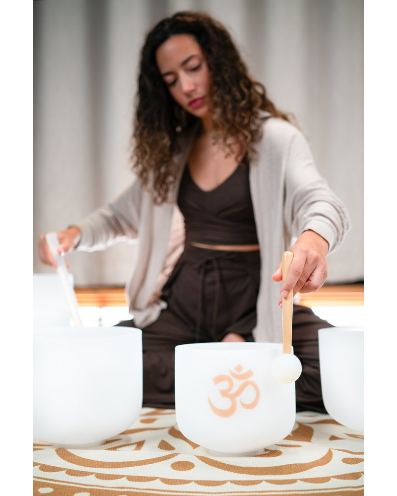 Meinl Sonic Energy CSBSETOM6 6-piece Om Crystal Singing Bowl Set