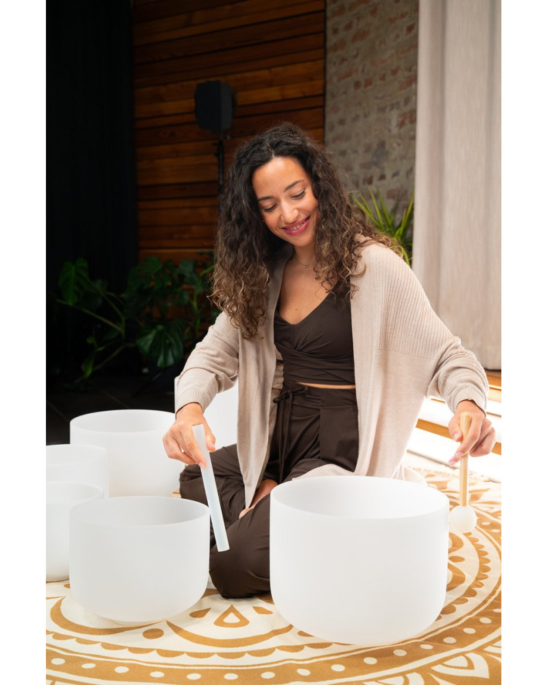 Meinl Sonic Energy CSBSETOM6 6-piece Om Crystal Singing Bowl Set