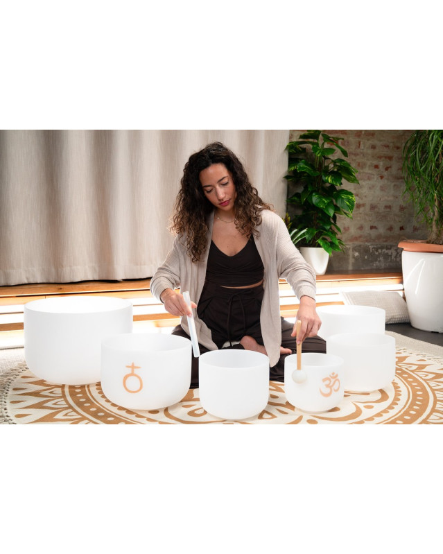 Meinl Sonic Energy CSBSETOM6 6-piece Om Crystal Singing Bowl Set