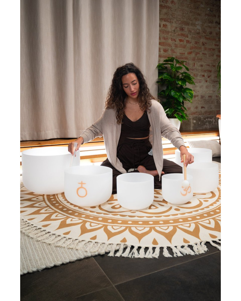 Meinl Sonic Energy CSBSETOM6 6-piece Om Crystal Singing Bowl Set