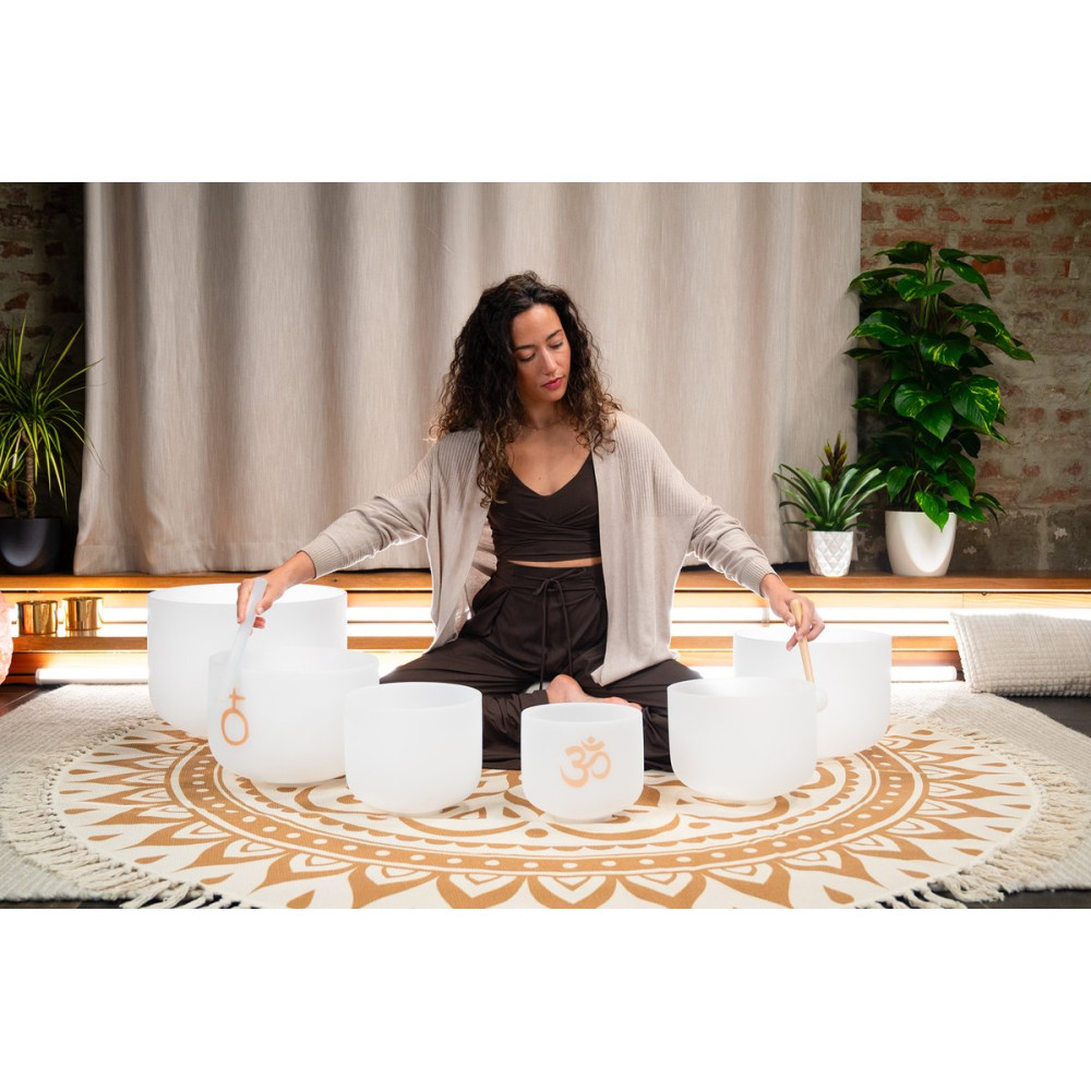 Meinl Sonic Energy CSBSETOM6 6-piece Om Crystal Singing Bowl Set