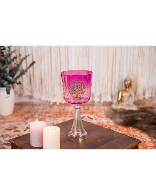 Meinl Sonic Energy CSC6FPFOL Crystal Singing Chalice 6