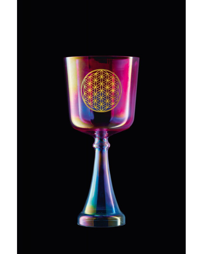 Meinl Sonic Energy CSC6FPFOL Crystal Singing Chalice 6