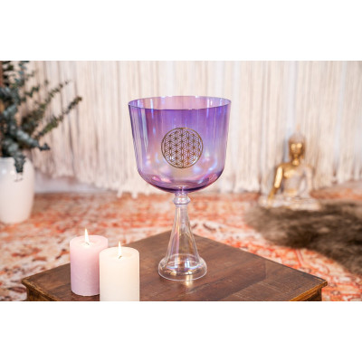 Meinl Sonic Energy CSC8FPFOL Crystal Singing Chalice 8