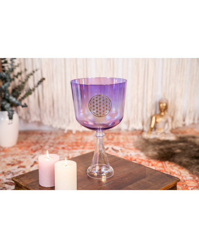 Meinl Sonic Energy CSC8FPFOL Crystal Singing Chalice 8