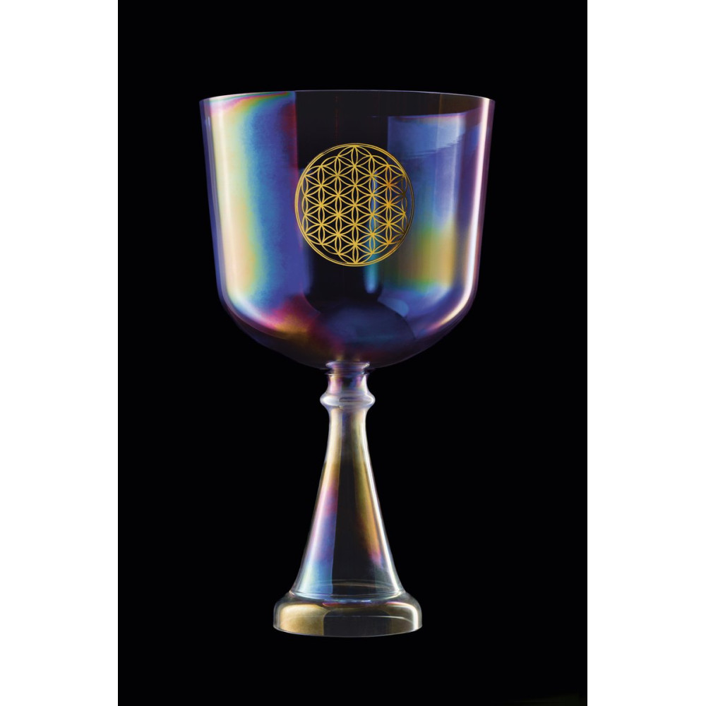 Meinl Sonic Energy CSC8FPFOL Crystal Singing Chalice 8