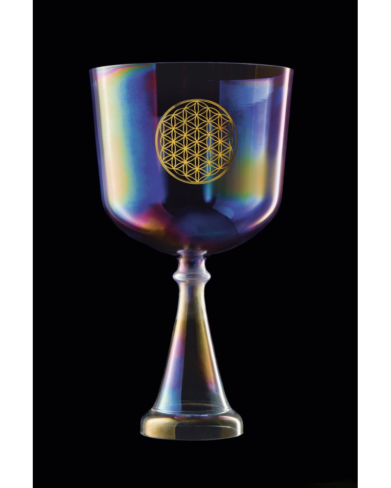 Meinl Sonic Energy CSC8FPFOL Crystal Singing Chalice 8