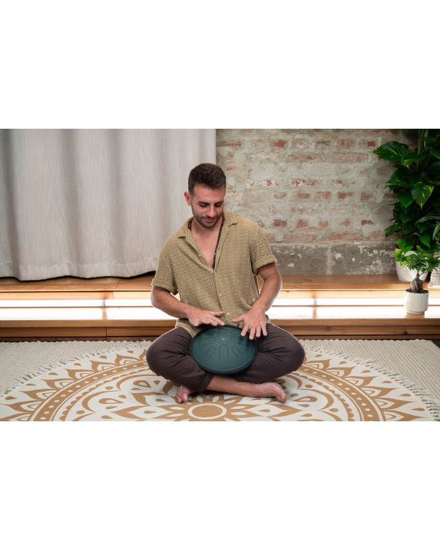 Meinl Sonic Energy CSTD1DG 10