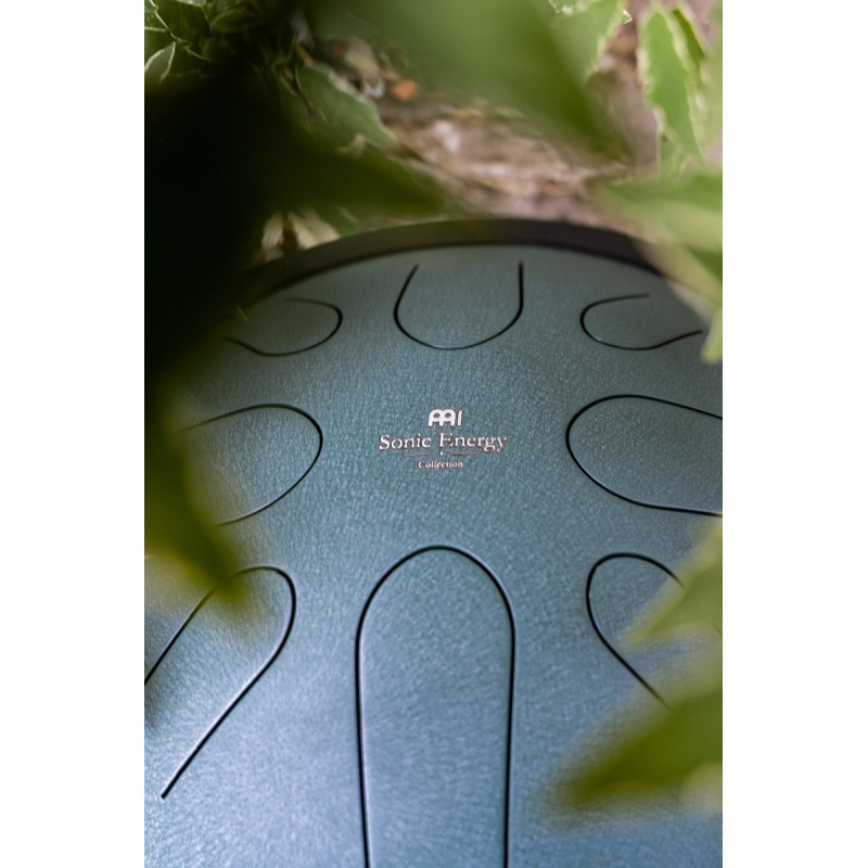 Meinl Sonic Energy CSTD1DG 10