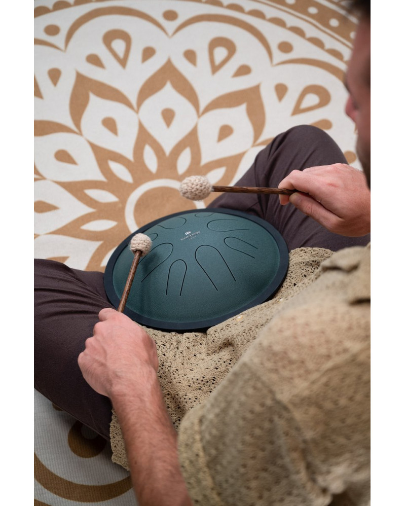 Meinl Sonic Energy CSTD1DG 10