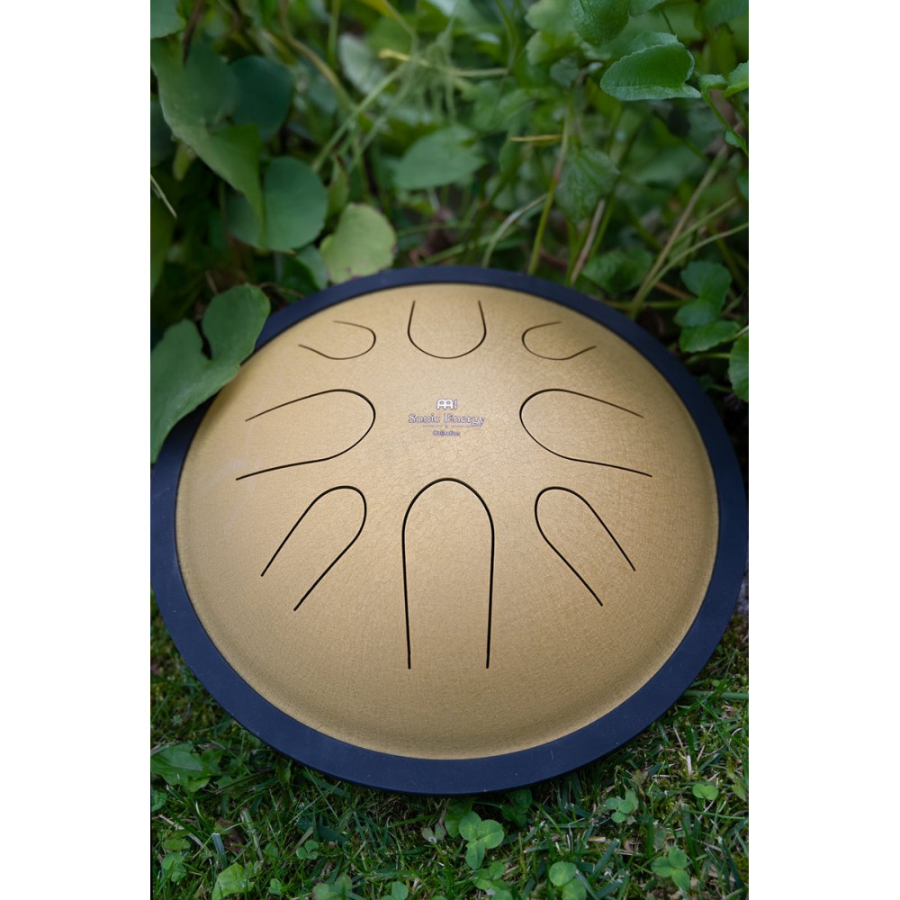 Meinl Sonic Energy CSTD3G 10