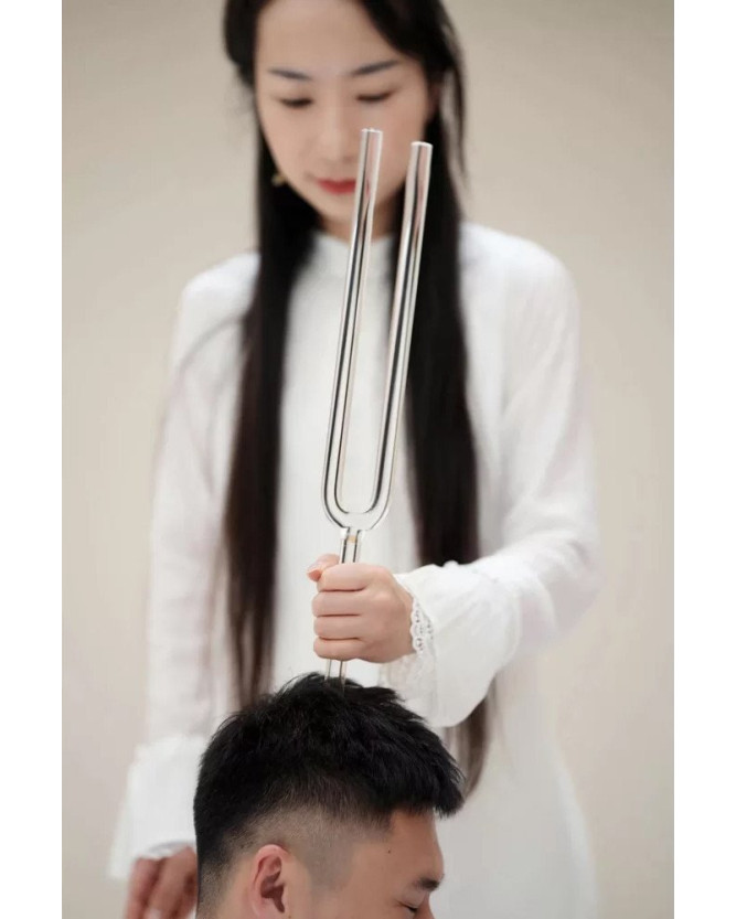 Meinl Sonic Energy CTF440C16 Crystal Tuning Fork - C3/130.81 Hz