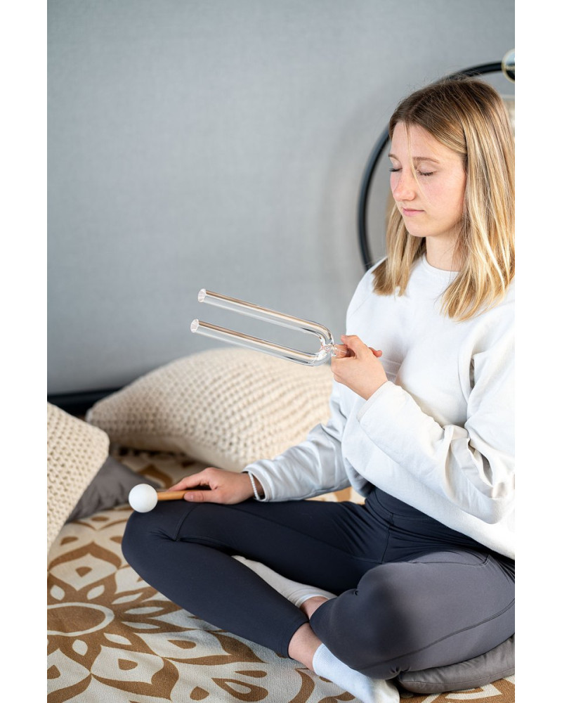 Meinl Sonic Energy CTF440C20 Crystal Tuning Fork - C4/261,63 Hz