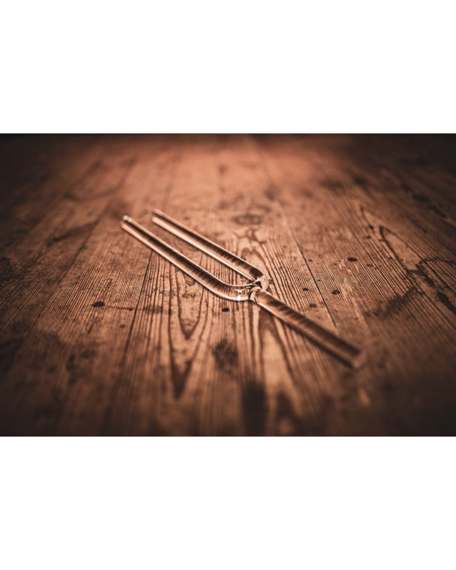Meinl Sonic Energy CTF440F20 Crystal Tuning Fork - F4/349.23 Hz