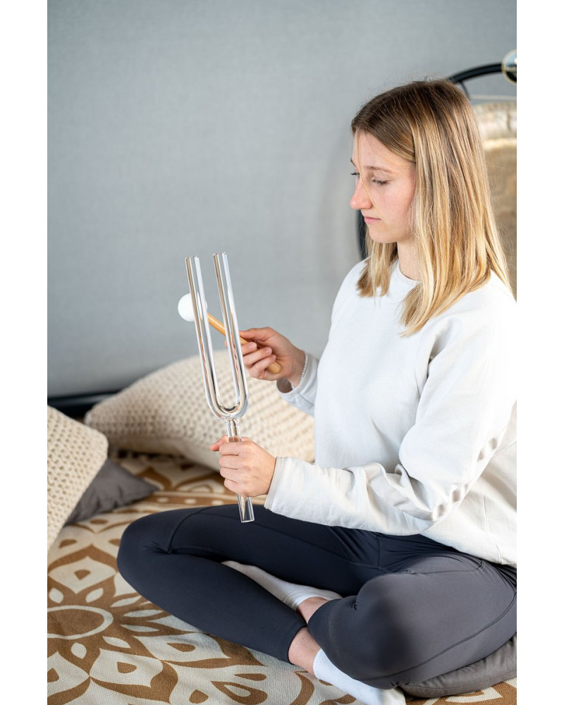 Meinl Sonic Energy CTF440F20 Crystal Tuning Fork - F4/349.23 Hz