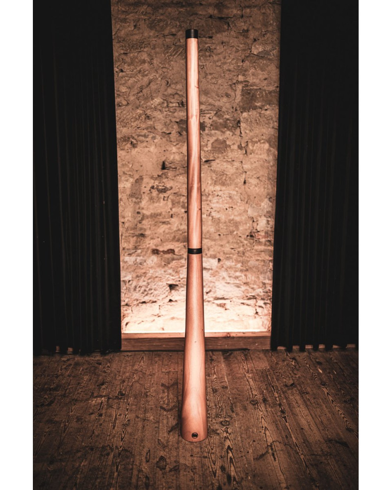 Meinl Sonic Energy DDPROFNTD Sliced Pro Didgeridoo - D Tuning - Natural