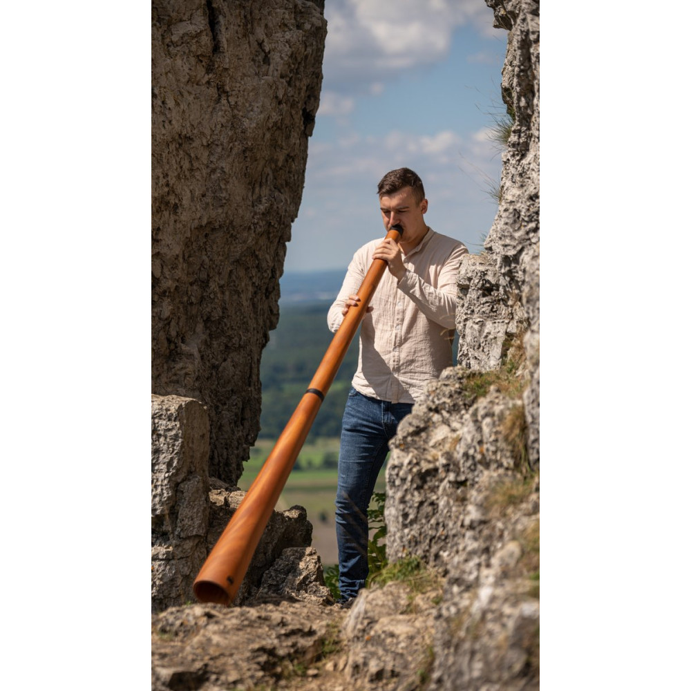 Meinl Sonic Energy DDPROFNTD Sliced Pro Didgeridoo - D Tuning - Natural