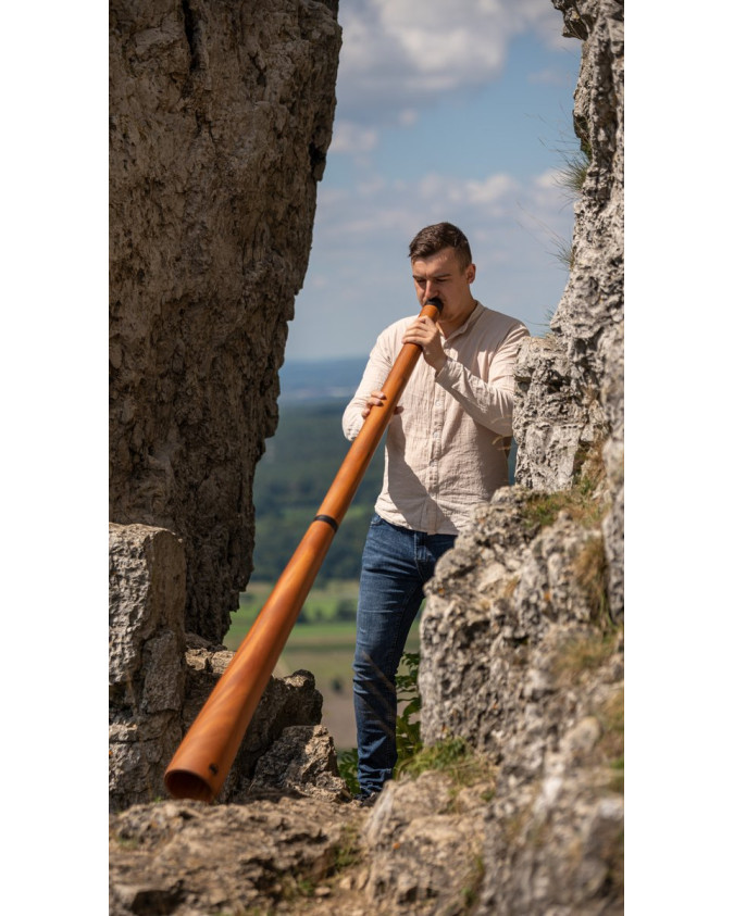 Meinl Sonic Energy DDPROFNTD Sliced Pro Didgeridoo - D Tuning - Natural