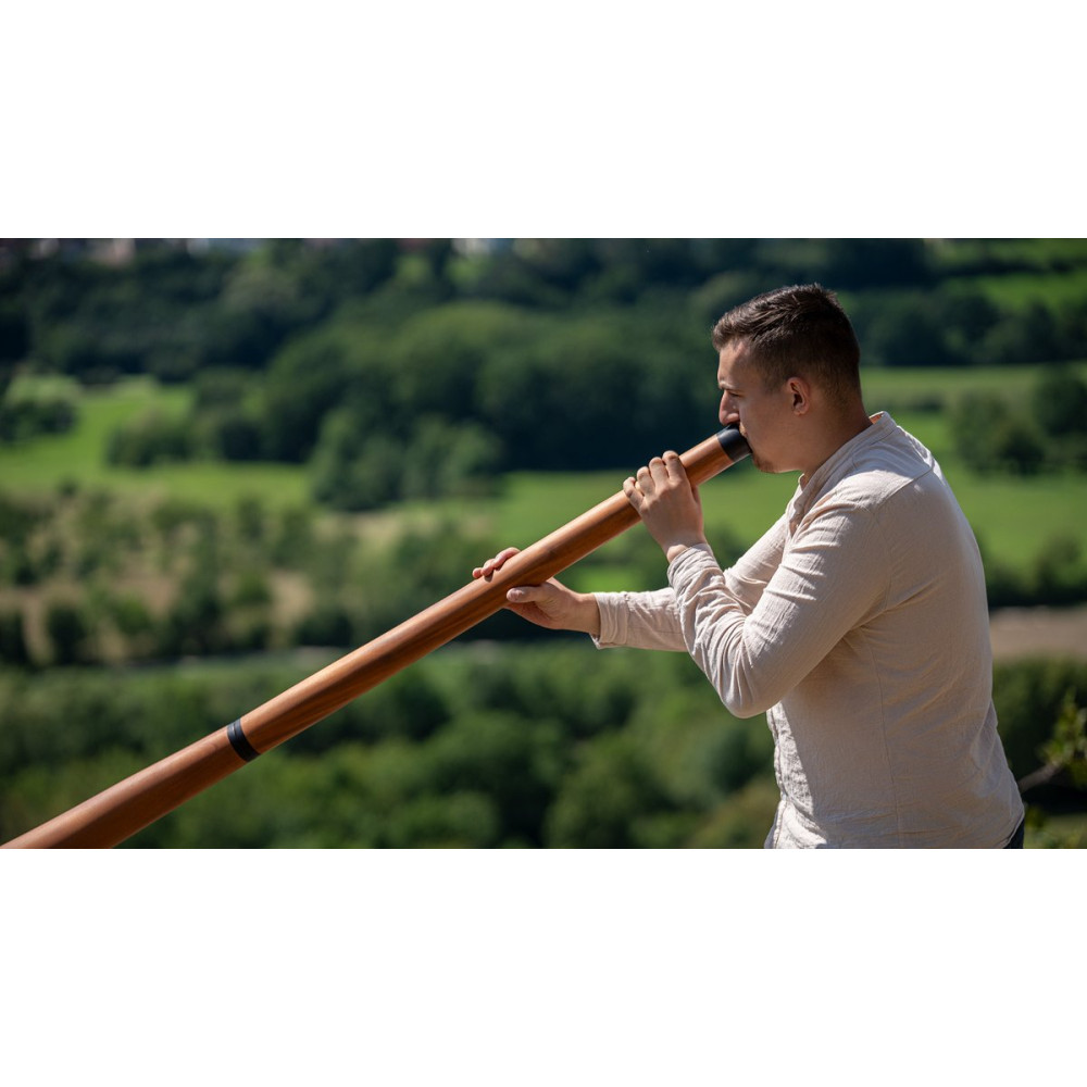 Meinl Sonic Energy DDPROFNTD Sliced Pro Didgeridoo - D Tuning - Natural