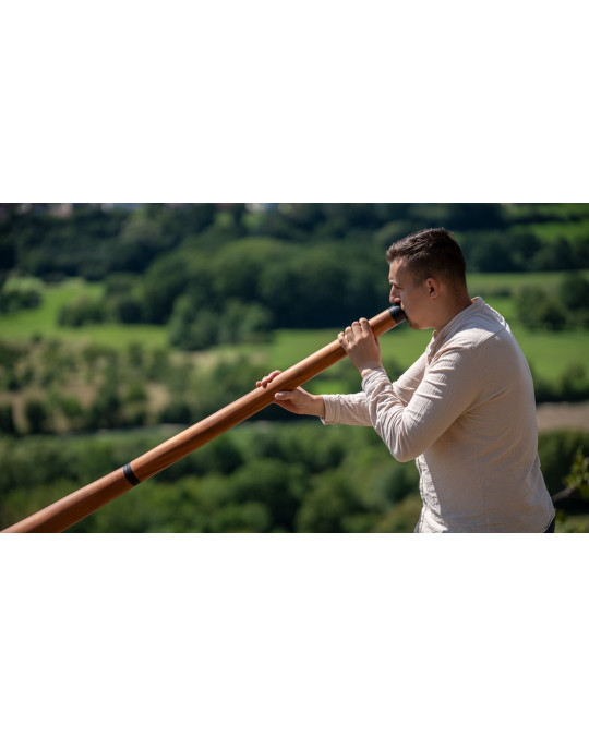 Meinl Sonic Energy DDPROFNTD Sliced Pro Didgeridoo - D Tuning - Natural