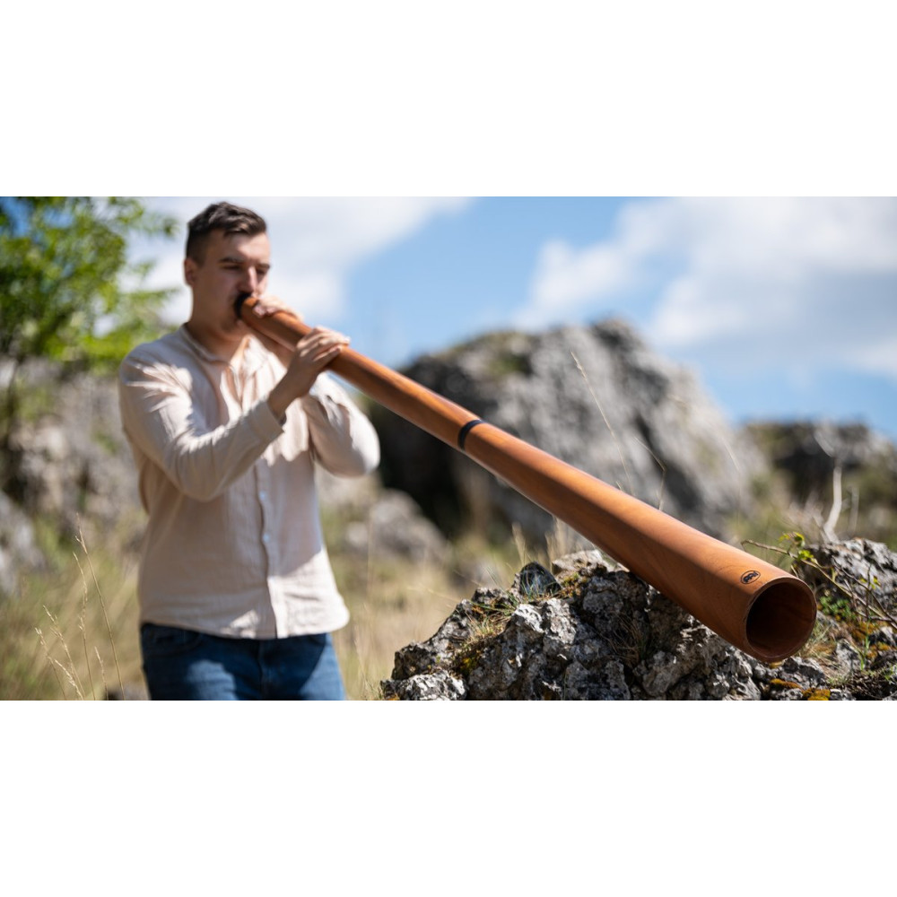 Meinl Sonic Energy DDPROFNTD Sliced Pro Didgeridoo - D Tuning - Natural