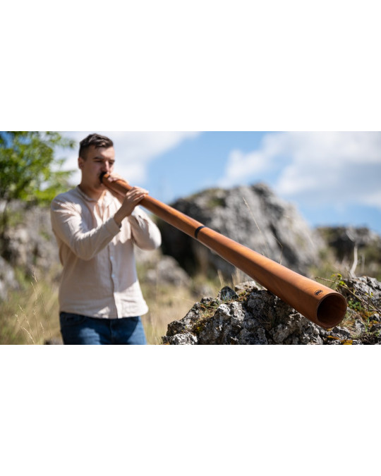 Meinl Sonic Energy DDPROFNTD Sliced Pro Didgeridoo - D Tuning - Natural