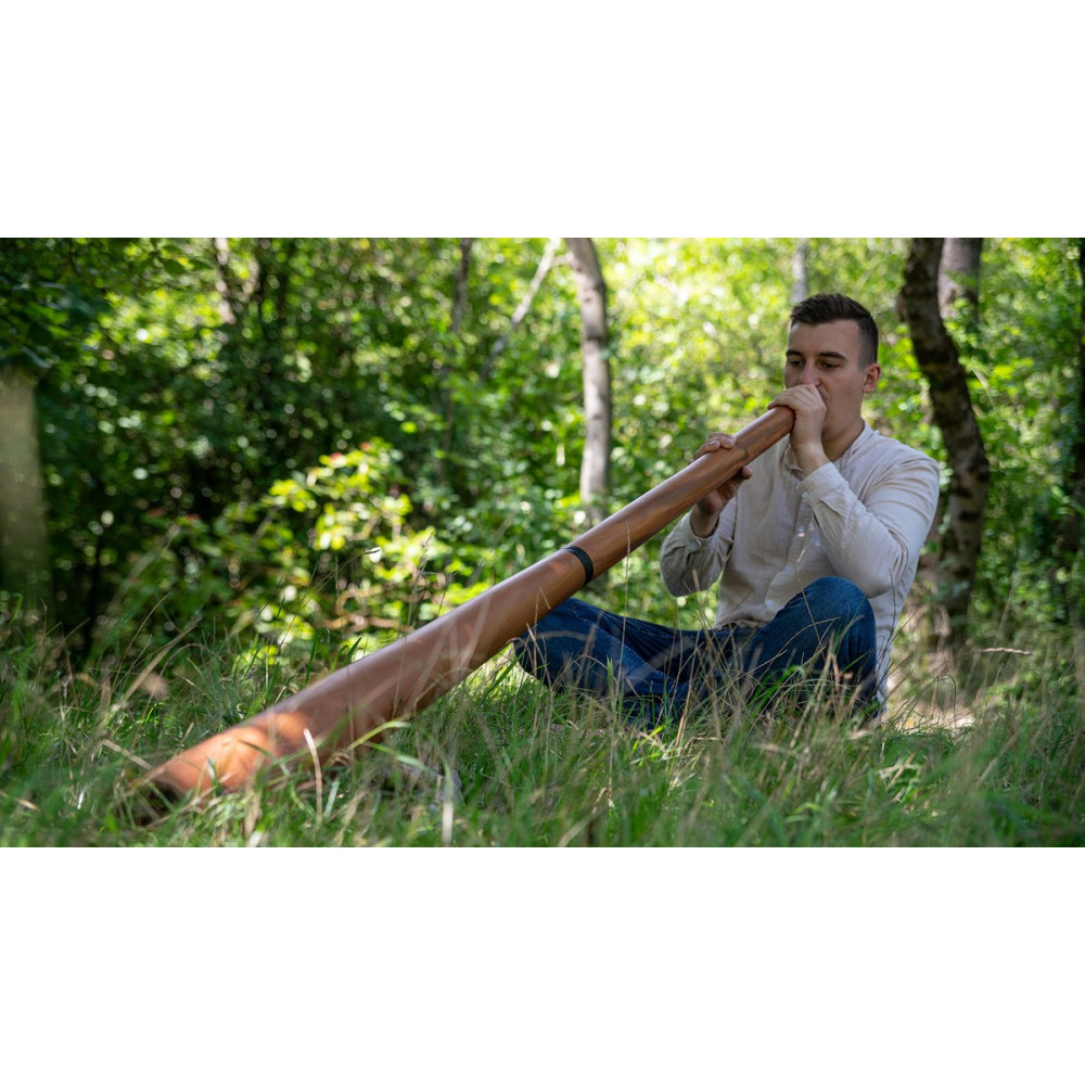 Meinl Sonic Energy DDPROFNTD Sliced Pro Didgeridoo - D Tuning - Natural