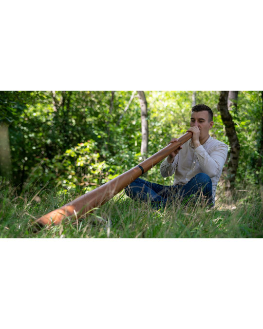 Meinl Sonic Energy DDPROFNTD Sliced Pro Didgeridoo - D Tuning - Natural