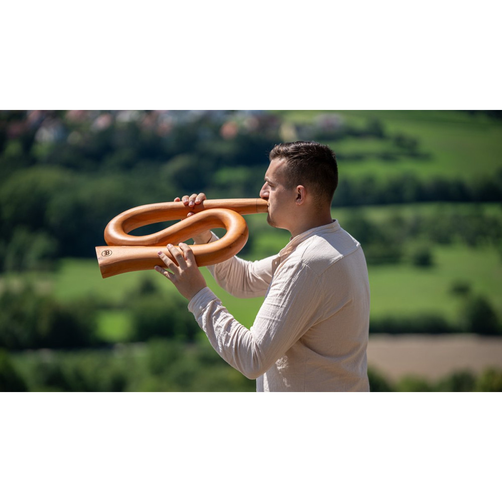 Meinl Sonic Energy DDPROFSC S-shaped Pro Didgeridoo - C Tuning - Natural