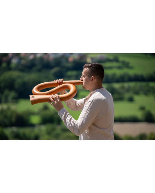 Meinl Sonic Energy DDPROFSC S-shaped Pro Didgeridoo - C Tuning - Natural