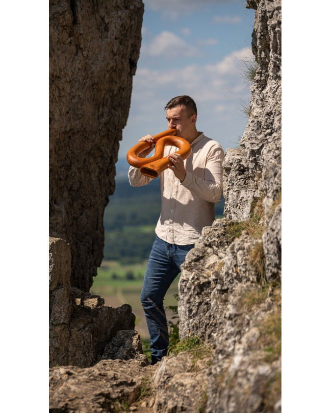 Meinl Sonic Energy DDPROFSD S-shaped Pro Didgeridoo - D Tuning