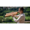 Meinl Sonic Energy DDPROFZC Z-shaped  Didgeridoo - C Tuning - Natural
