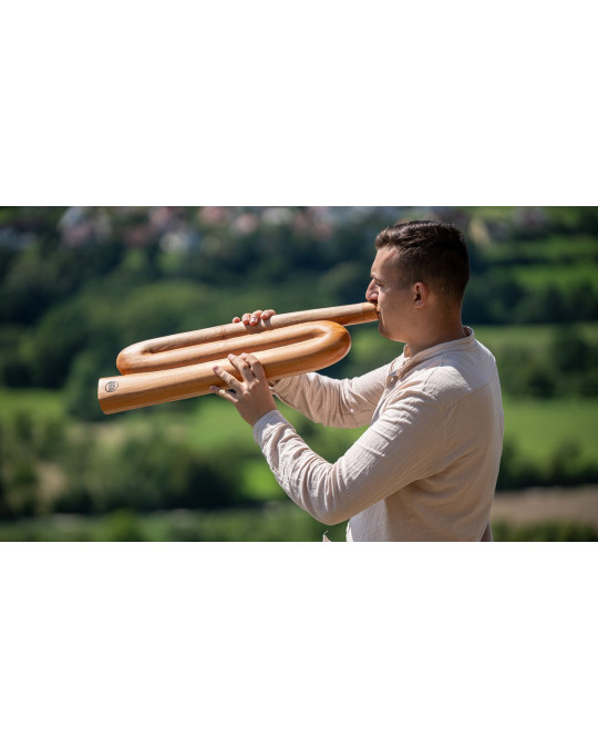 Meinl Sonic Energy DDPROFZD Z-shaped Pro Didgeridoo - D Tuning - Natural