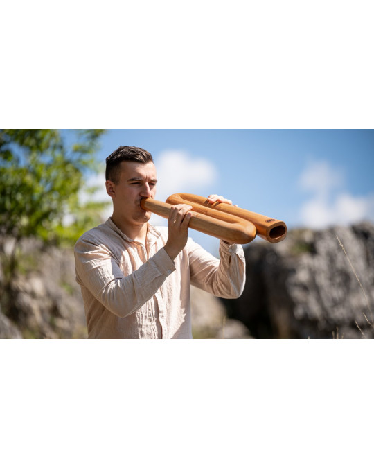 Meinl Sonic Energy DDPROFZD Z-shaped Pro Didgeridoo - D Tuning - Natural