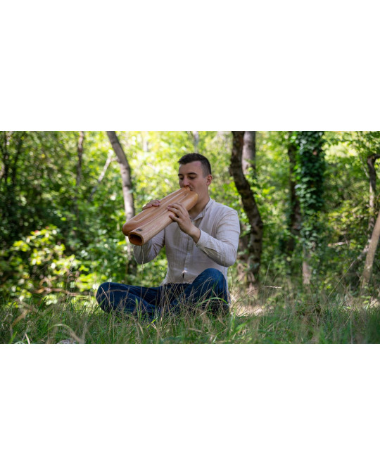 Meinl Sonic Energy DDPROFZD Z-shaped Pro Didgeridoo - D Tuning - Natural