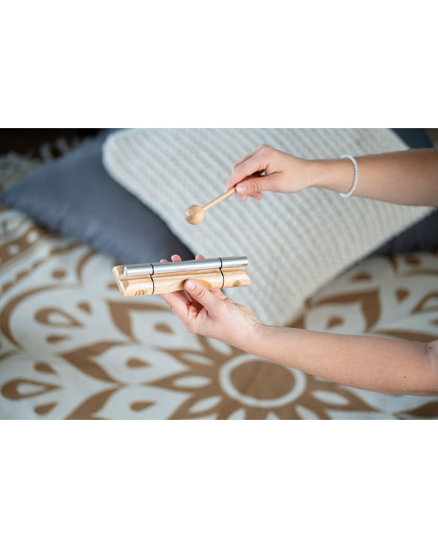 Meinl Sonic Energy EC-FOL Flower of Life - Energy Chime - 2048 Hz