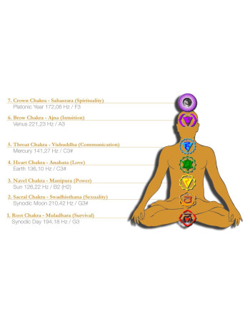 Meinl Sonic Energy EC-SET-CHA-7 Planetary Tuned Energy Chimes Chakra Set -7 pcs