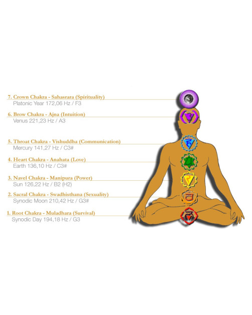 Meinl Sonic Energy EC-SET-CHA-7 Planetary Tuned Energy Chimes Chakra Set -7 pcs