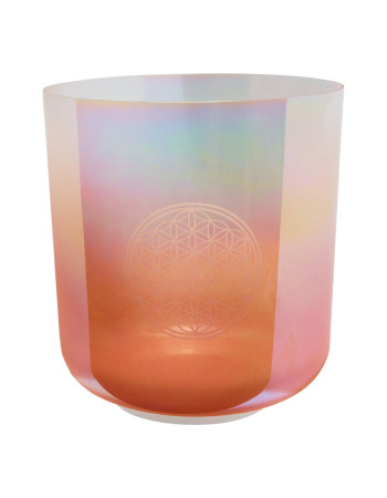 Meinl Sonic Energy ECSB128FOL 9