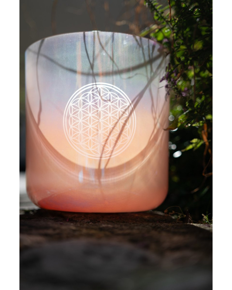 Meinl Sonic Energy ECSB128FOL 9