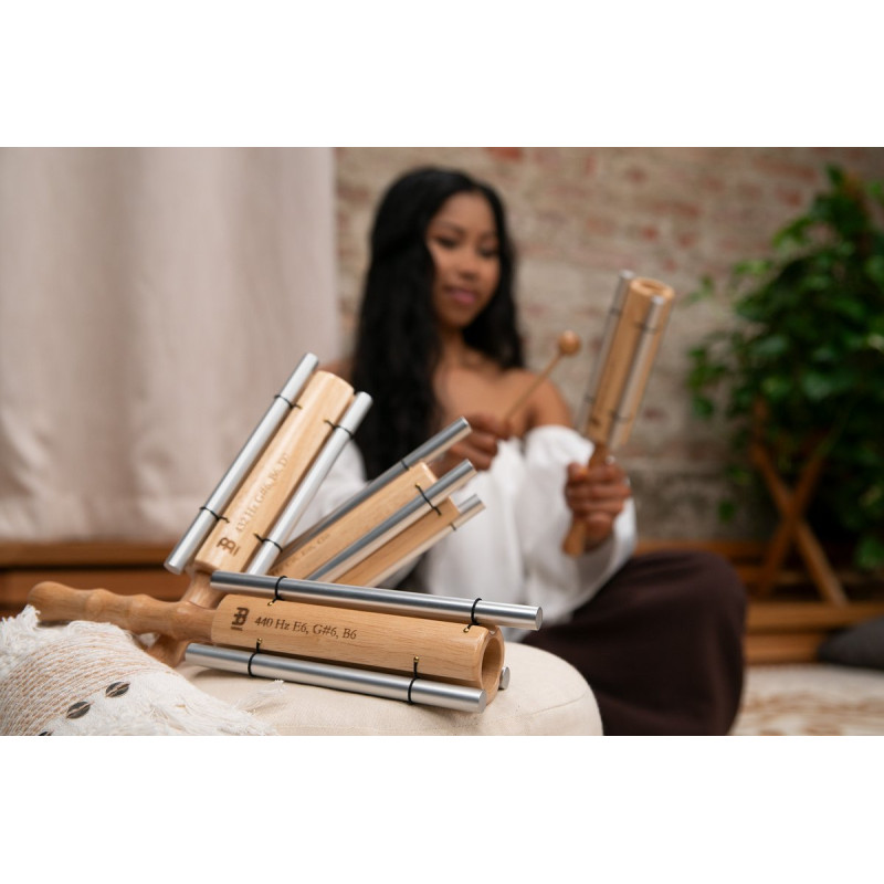 Meinl Sonic Energy ECTT1 Three Tone Energy Chime - Minor Triad/432 Hz
